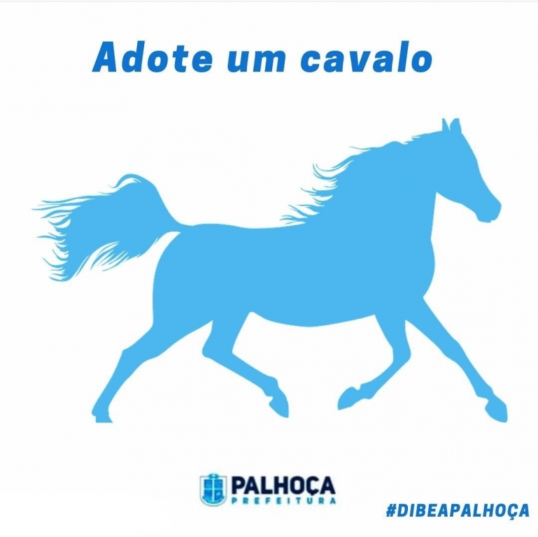 22 curiosidades sobre cavalos que talvez você não conheça