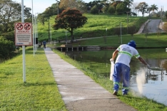 Prefeitura decreta situação de emergência por proliferação de carrapatos