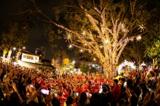 Palhoça está iluminada e preparada para o Natal