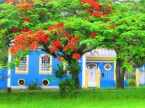 Enseada de Brito recebe evento de fotografia oficinas e diversas atrações